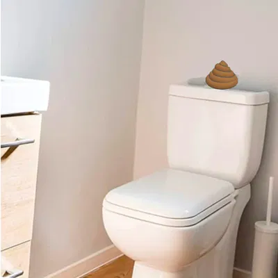 Phiên bản WC Nước Kéo hoặc Đẩy Cho Toilet