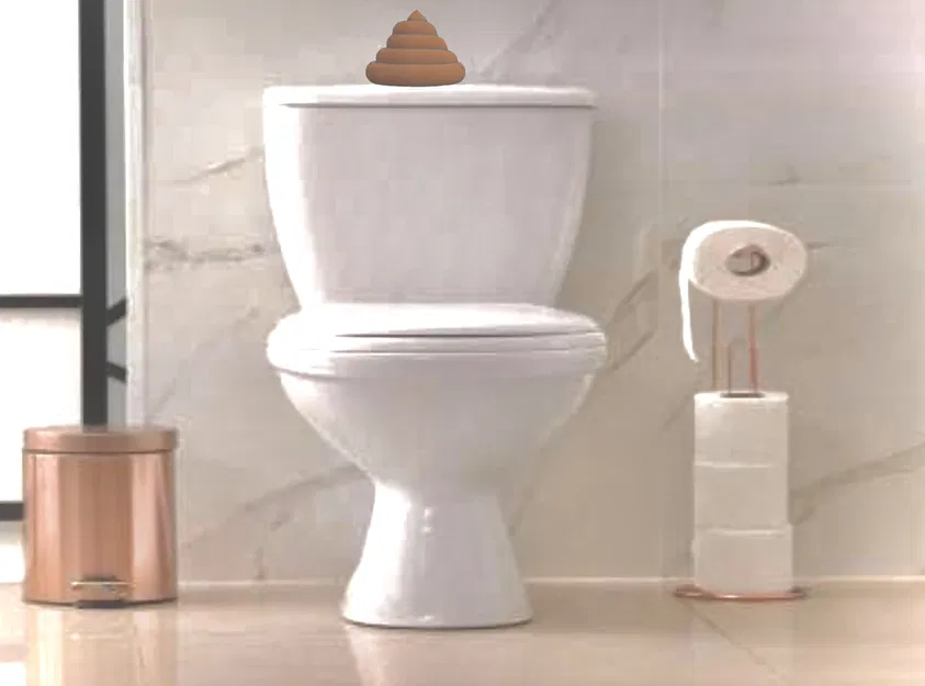 Phiên bản WC Nước Kéo hoặc Đẩy Cho Toilet - Image 2