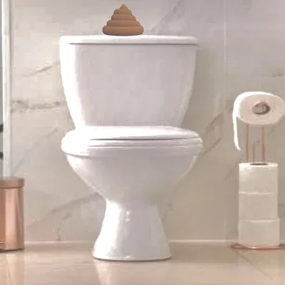 Phiên bản WC Nước Kéo hoặc Đẩy Cho Toilet