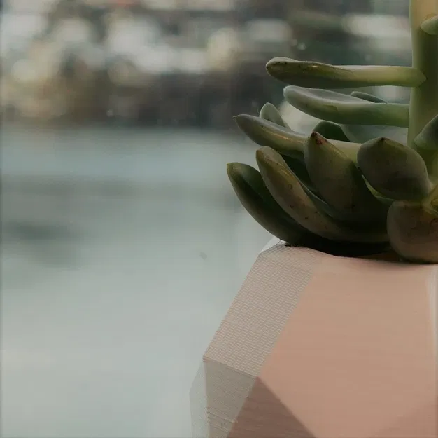 Chậu Cây Bay Lơ Lửng Tự Làm - Image 2