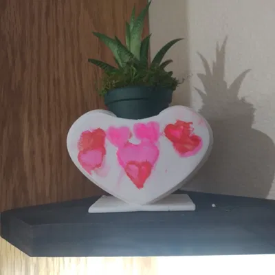 Chậu Cây Mọng Nước Hình Trái Tim