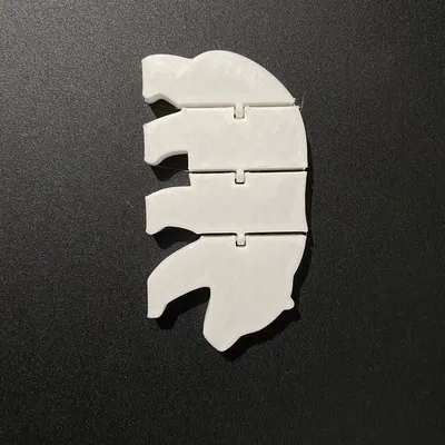 Gấu Oso Xếp Khớp (Khớp Nối) Linh Hoạt