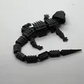 Lizard - Thumbnail 7