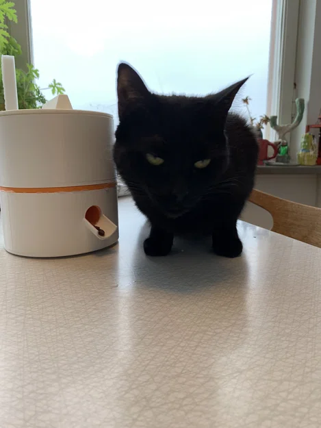 CatSnack! - Máy cho mèo ăn tự động - Image 1