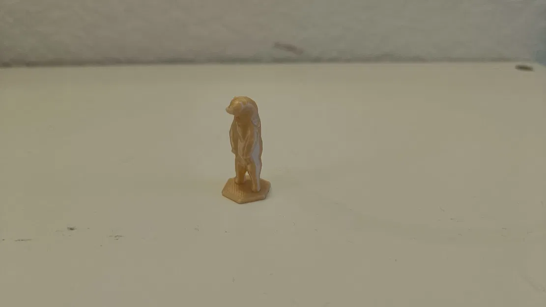 Gấu Cân Bằng (đã sửa) - Image 2