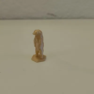 Gấu Cân Bằng (đã sửa)