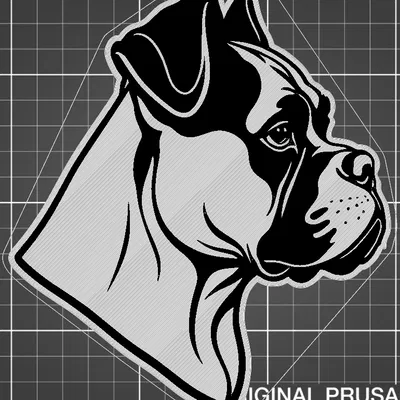 Trang Trí Tường Hình Boxer