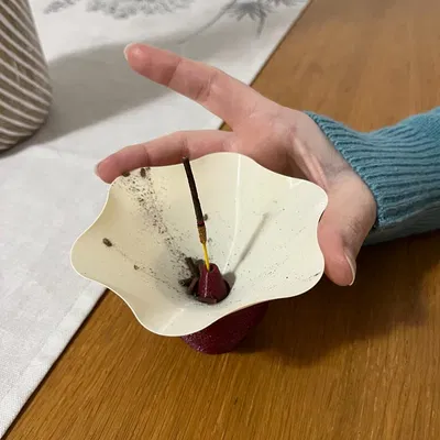 Người giữ hương 2 mảnh