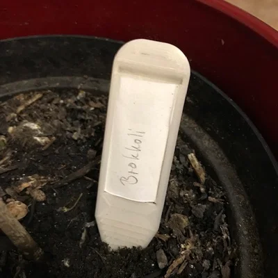 Nhãn Cây Tái Sử Dụng