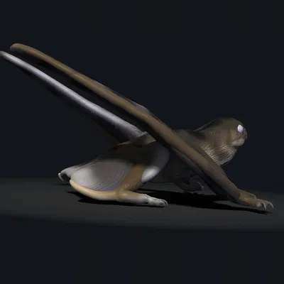 Mô hình Anurognathus - Tượng Pterosaur Cánh Dơi