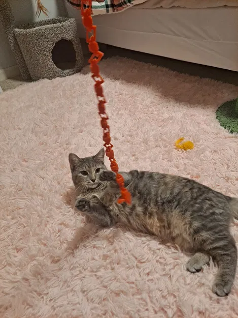 Đồ Chơi Mèo Bằng Ngón Tay Cho Mèo - Image 2