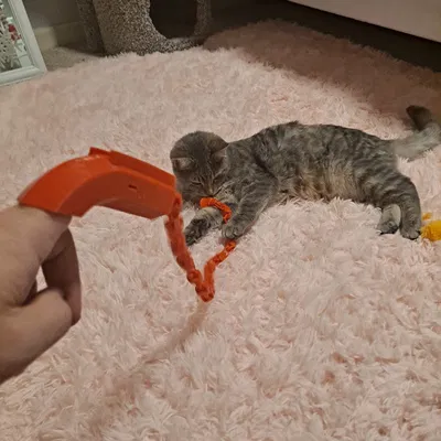 Đồ Chơi Mèo Bằng Ngón Tay Cho Mèo