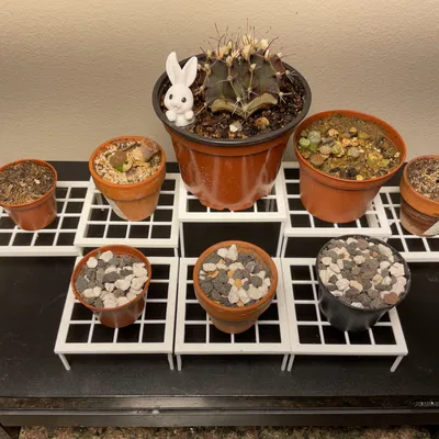 Chân đế chậu cây