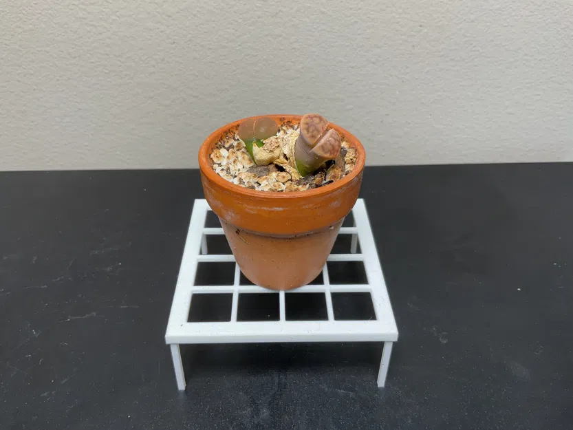 Chân đế chậu cây - Image 12