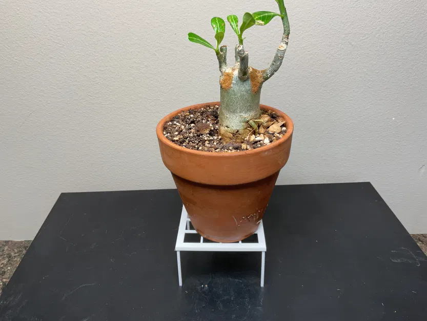 Chân đế chậu cây - Image 13