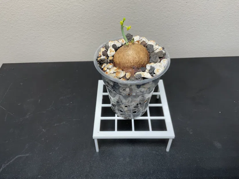 Chân đế chậu cây - Image 15