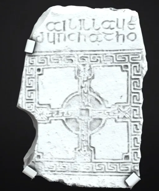 Chú Vẹt Chết Từ Flying Circus - Image 3