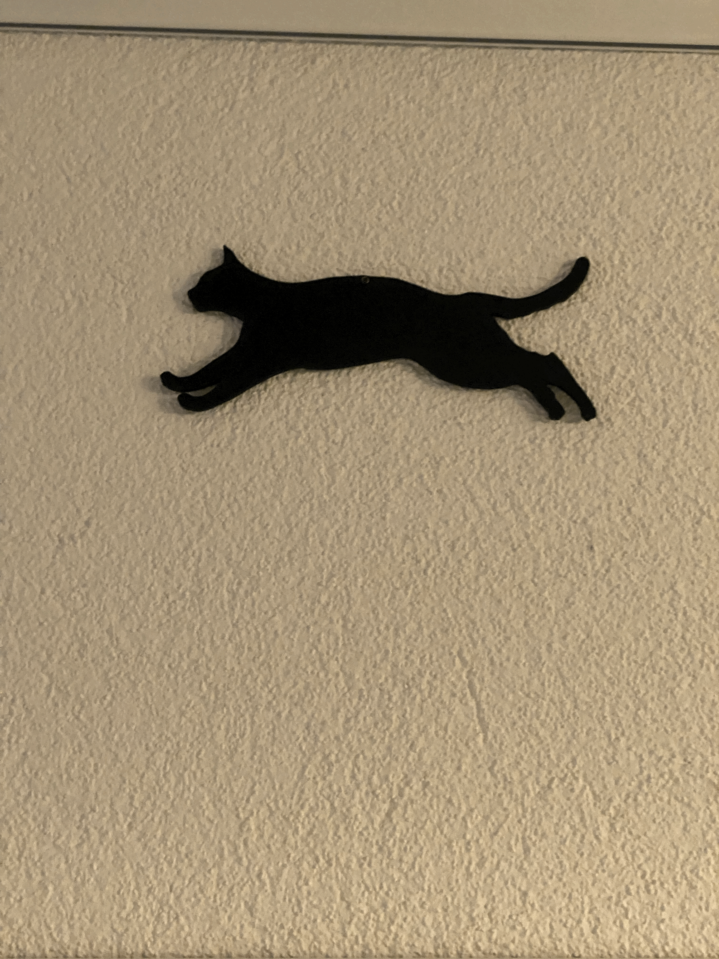 Hình bóng của một con mèo nhảy