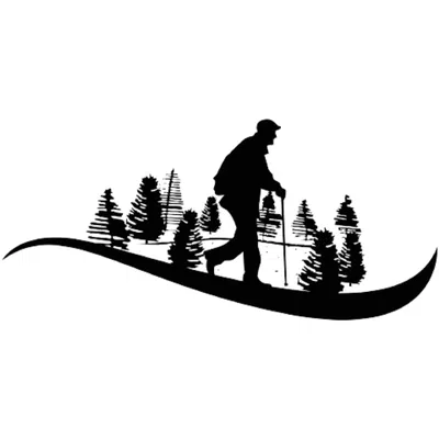 Đi dạo trong rừng