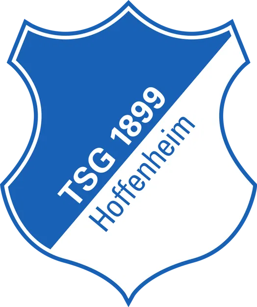 Logo TSG 1899 Hoffenheim (Hueforge) - Image 1