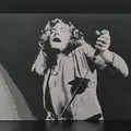 Thành Viên Ban Nhạc Hueforge Led Zeppelin - Thumbnail 5