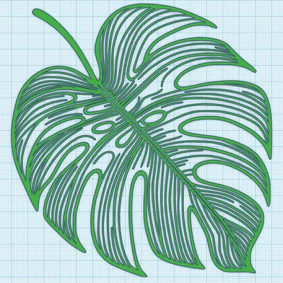 Trang Trí Tường Hình Lá Trầu Bà | Monstera Leaf Wall Decoration