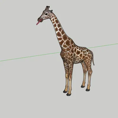 Mô Hình Con Hươu Cao Cổ (Giraffe)