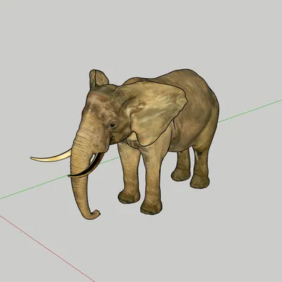 Eelephant - Mô Hình 3D