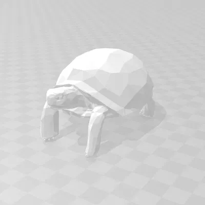 Rùa Low Poly