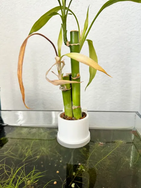 Kệ Trồng Cây Thủy Sinh Cho Hồ Cá - Image 1