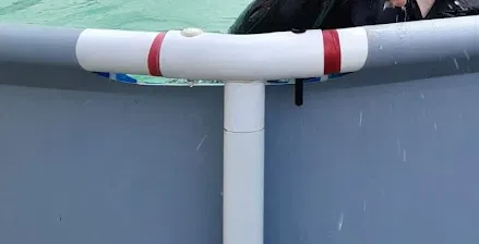 Chốt nối hồ bơi Intex - Image 1