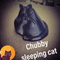 Mèo Mập Ú Đang Ngủ - Thumbnail 1
