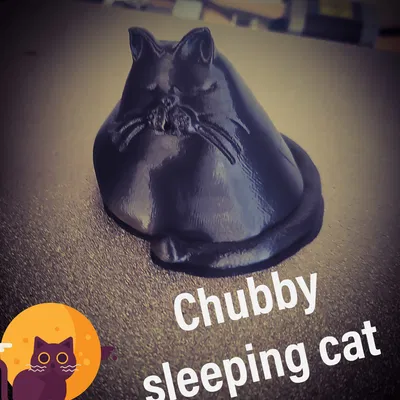 Mèo Mập Ú Đang Ngủ