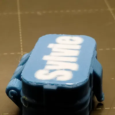 Hộp đựng bàn chải đánh răng tùy chỉnh