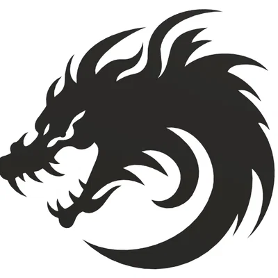 Logo Rồng Hổ Báo