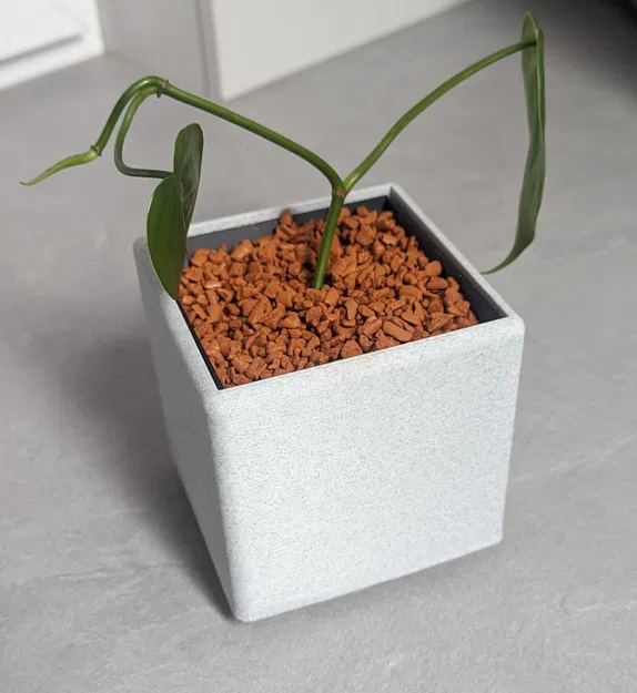 PLOTHPOT CHO NÓC THUỐC/Kế hoạch thủy canh - Image 10