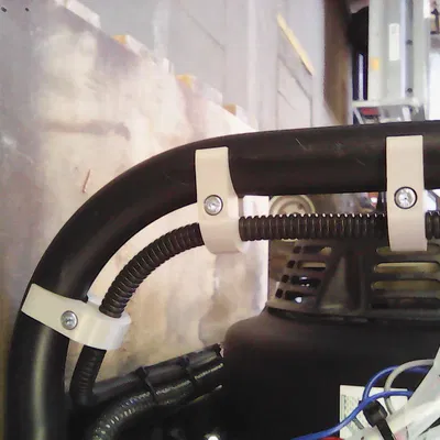 Người giữ ngỗng -Neck