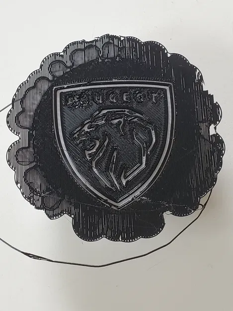 Nắp chụp mâm xe Peugeot 2021 Logo Nhôm - Image 11