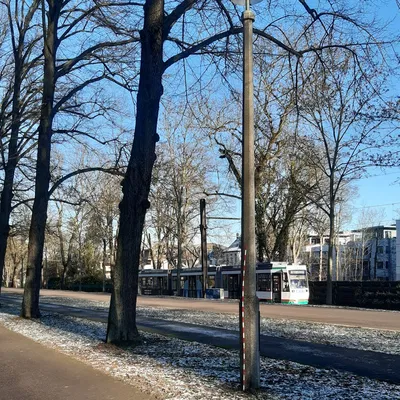 Đèn đường TT TGL 20997-01 RSL 1 Cột bát giác (Tỷ lệ 1:120)