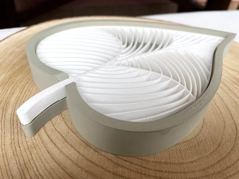 Lá xà phòng - Image 2