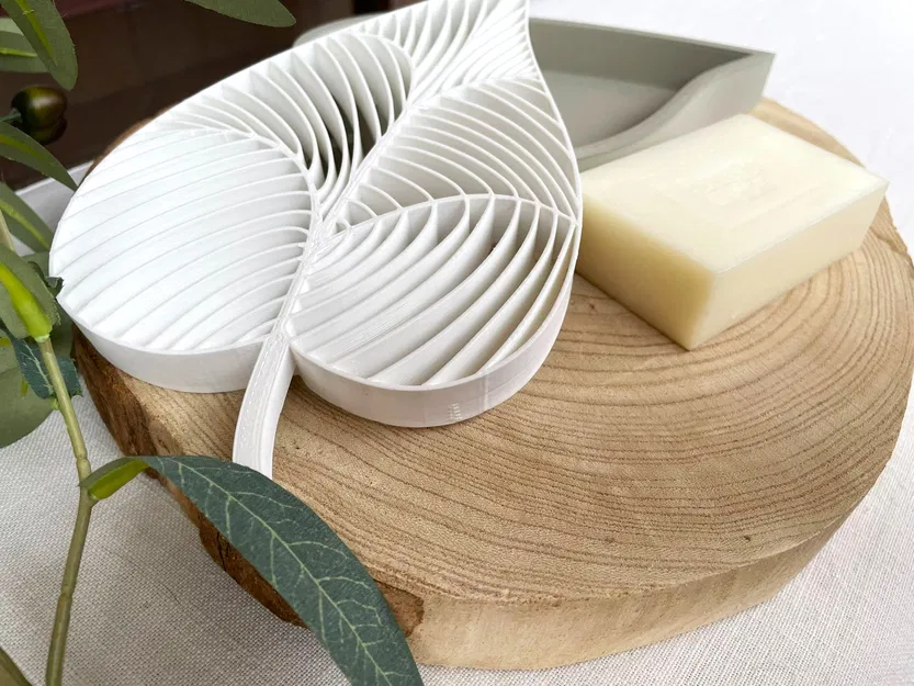 Lá xà phòng - Image 4