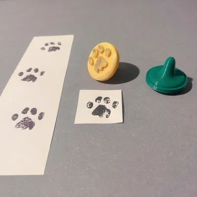 Con dấu chân mèo