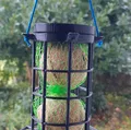 Máng Ăn Cho Chim 2 Viên Mỡ - Bird Feeder 2 Tallow Balls - Thumbnail 1