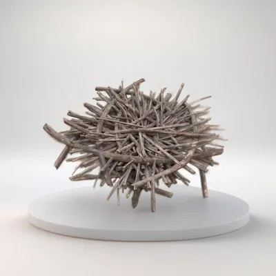 Giá Đựng Xà Bông Hình Tổ Chim