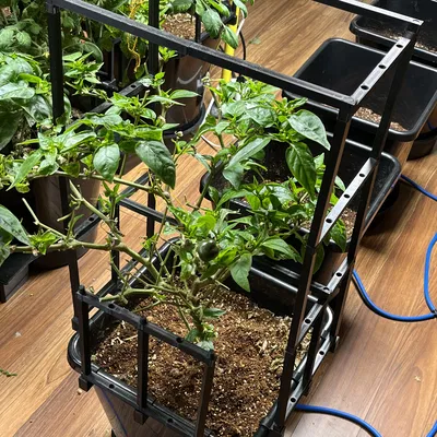 Giàn Leo Module Tự Động Cho Chậu Autopot