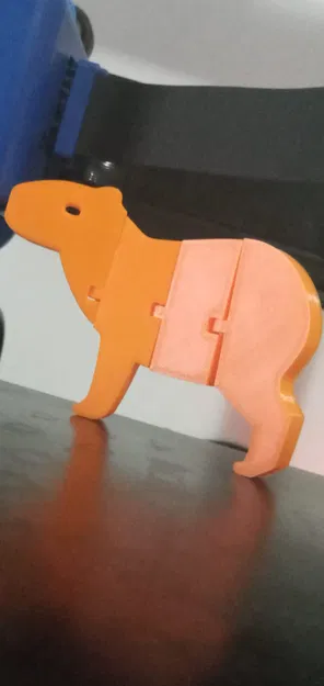 Capibara khớp nối - Image 1