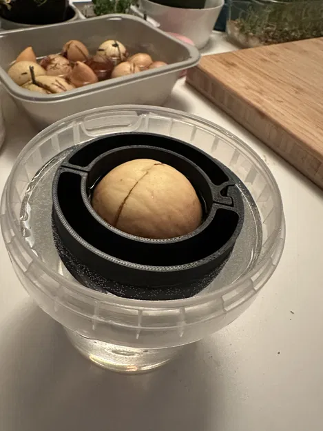 Nổi Hạt Bơ Mở Được - Bỏ Lớp Hỗ Trợ Đáy - Image 1