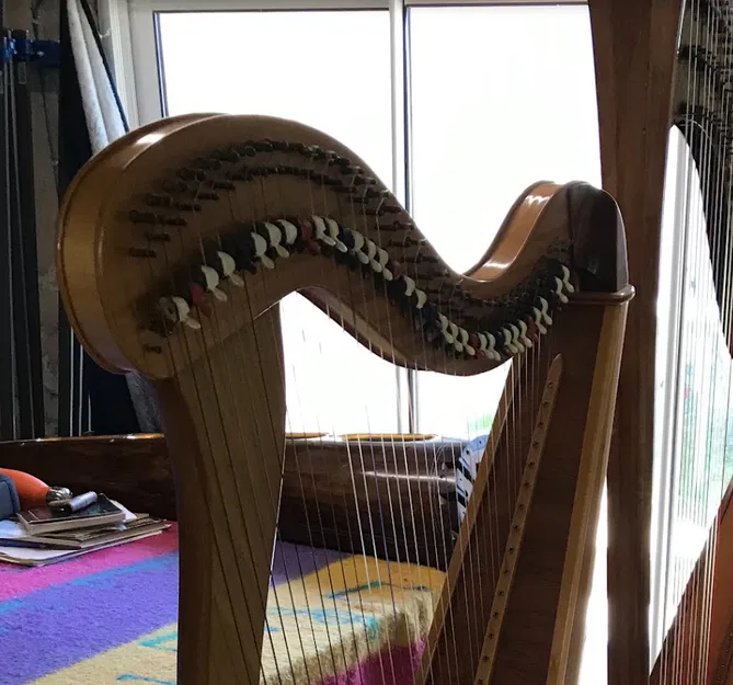 Cần đàn cho Đàn hạc - Image 1