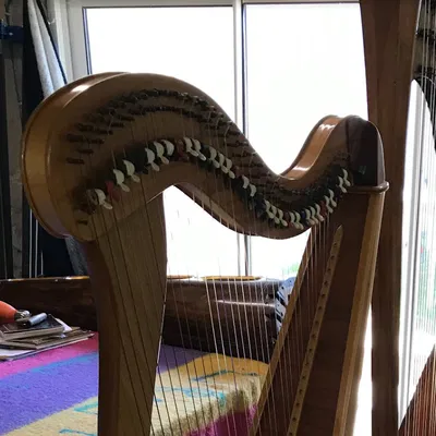 Cần đàn cho Đàn hạc