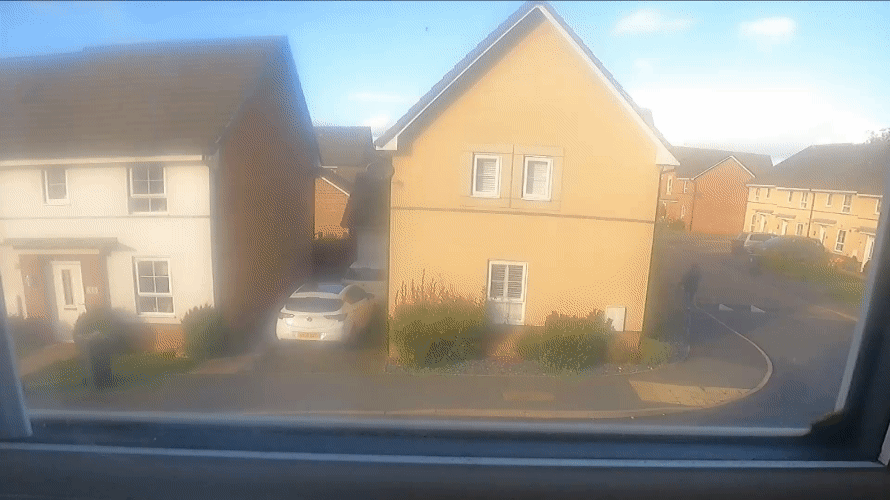 Chân Đế Chữ Mèo - Image 2